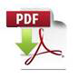pdf icon